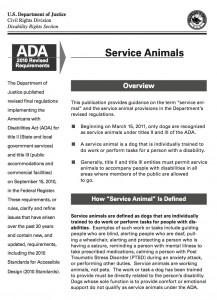 ADA Guide to Service Animals